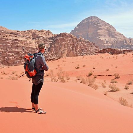 Wadi Rum Fig Tree Camp Екстериор снимка