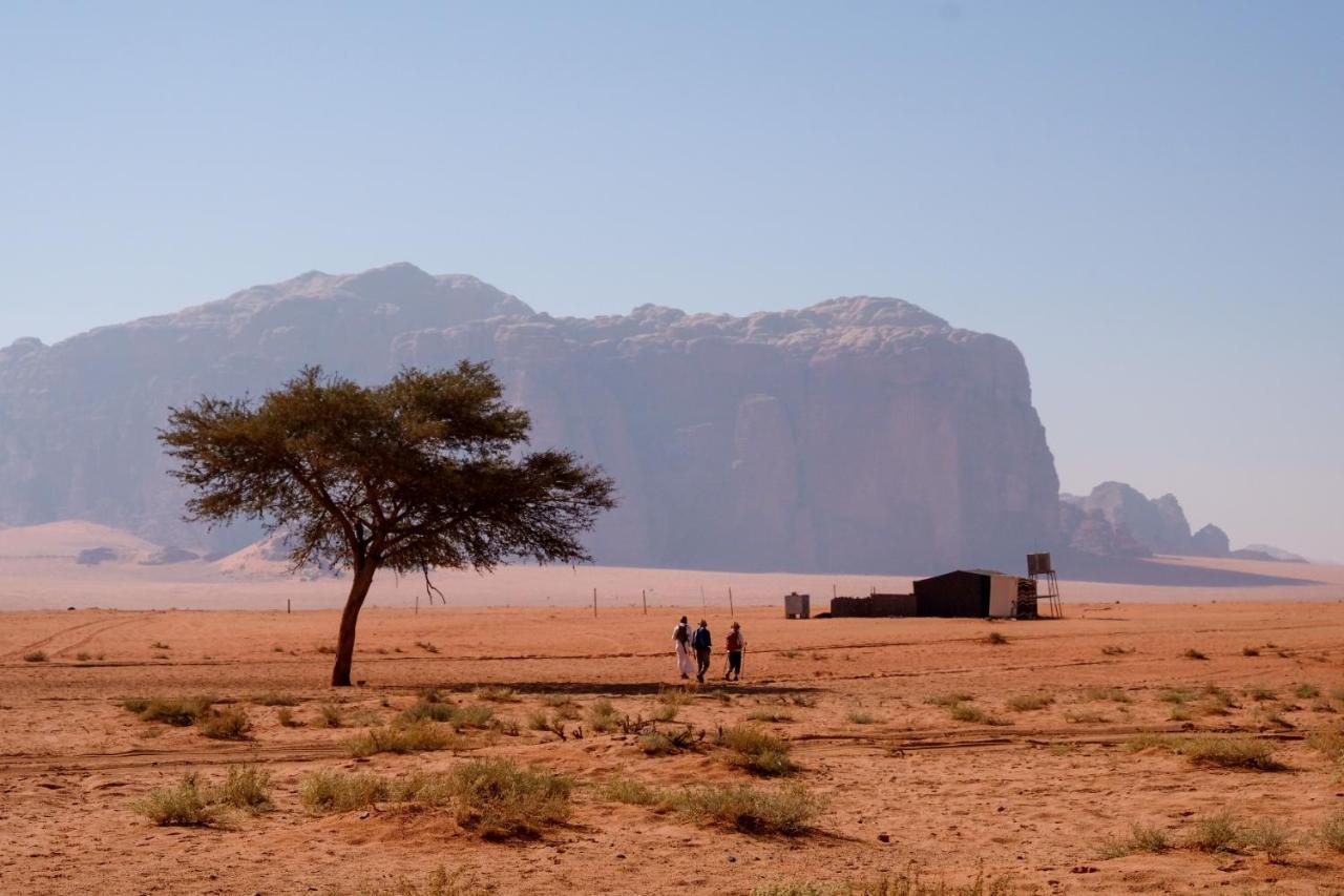 Wadi Rum Fig Tree Camp Екстериор снимка